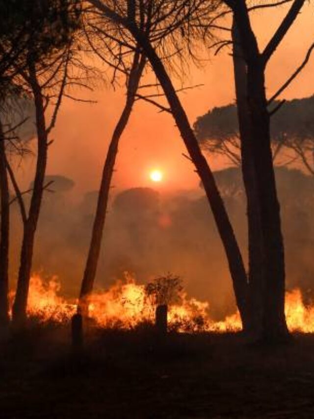 French weather conditions administration proclaims 2022 most sizzling year on record.